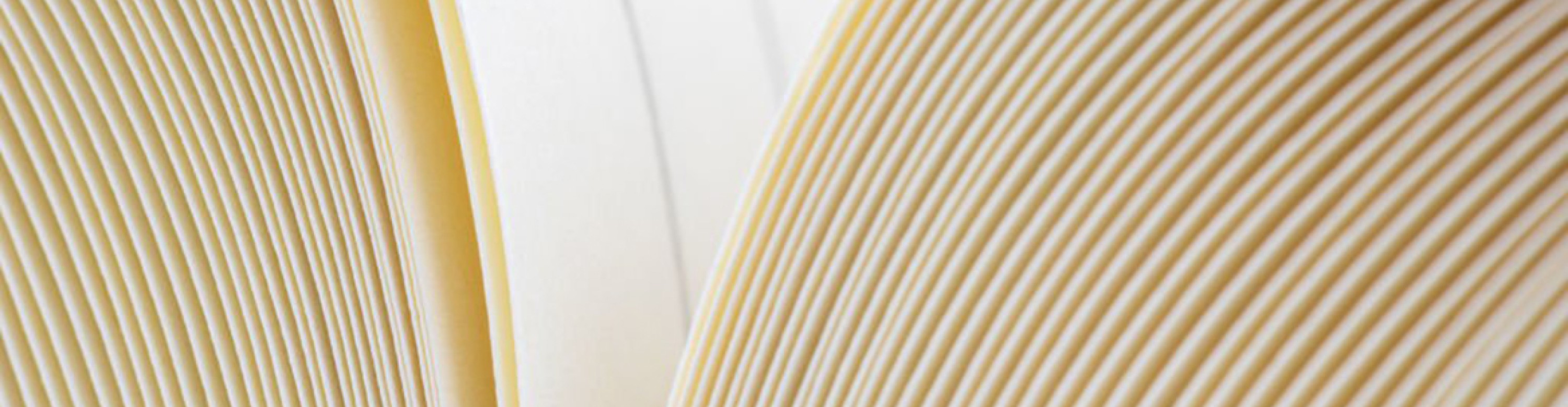 Blizzard bulky paper with wood