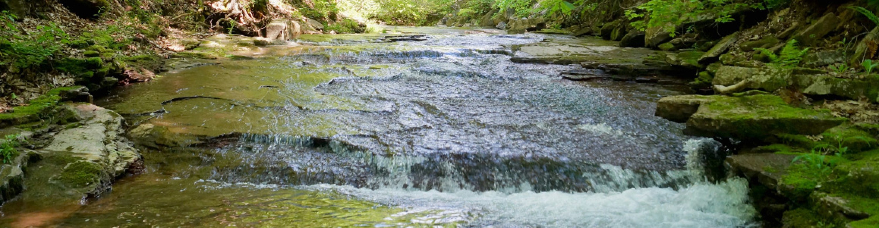 Environnement et eau