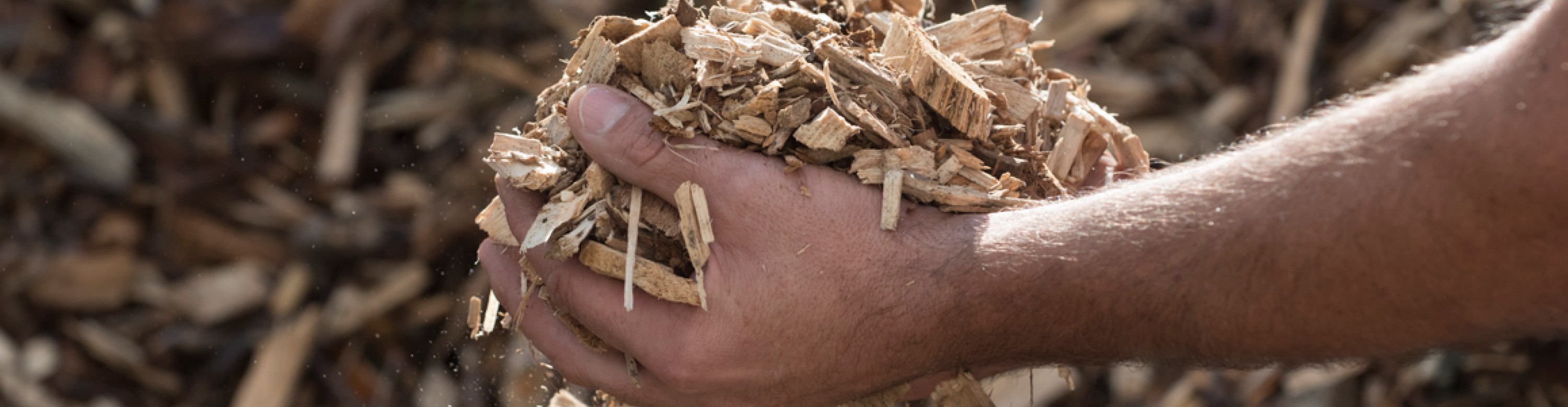 Biomass