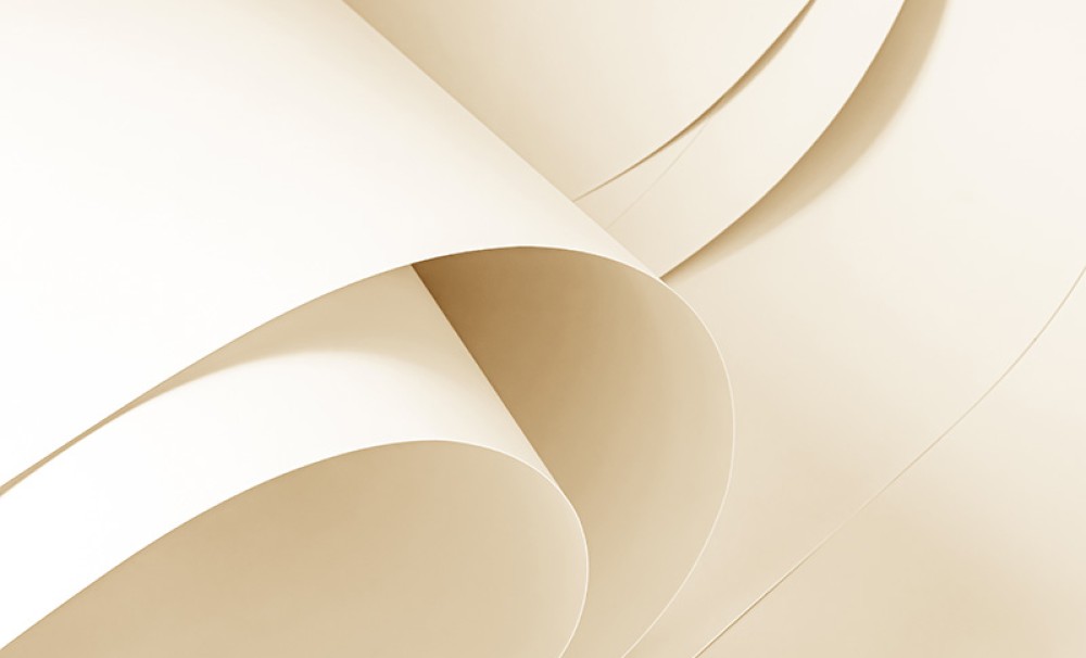 Speciality papers